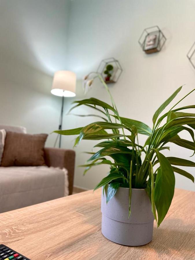 The Breeze & Sunlight Apartment 弗拉斯纳 外观 照片